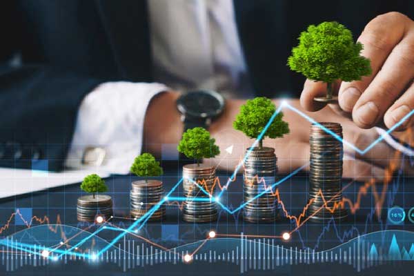 英集芯（688209）投资者索赔分析