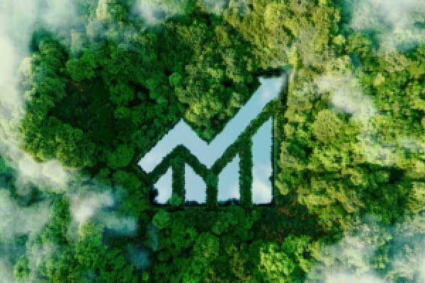 荷兰国际：美国10年期国债收益率在4.20%“看起来不错”